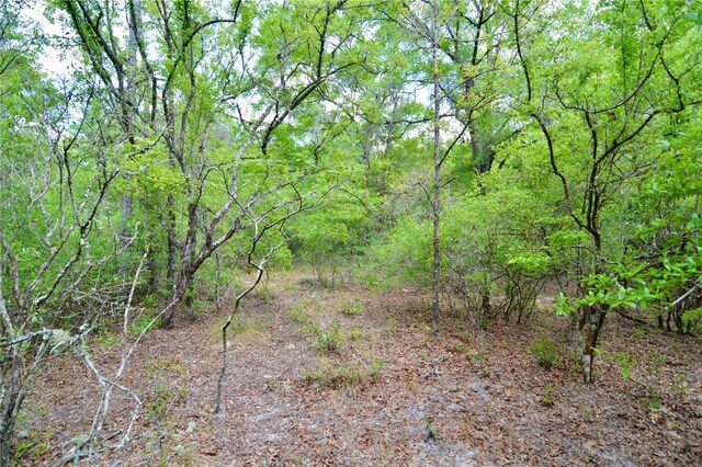 SW County Road 138, Fort White, FL 32038 - photo 23