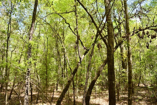 SW County Road 138, Fort White, FL 32038 - photo 24