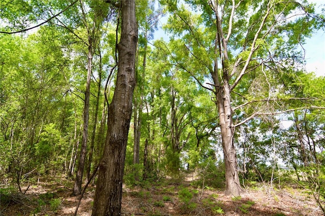 SW County Road 138, Fort White, FL 32038 - photo 25