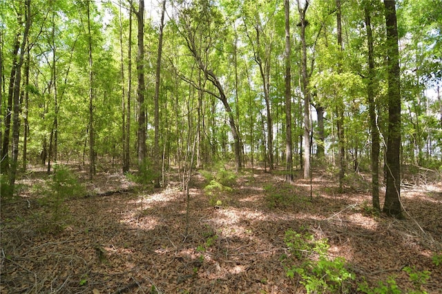 SW County Road 138, Fort White, FL 32038 - photo 27