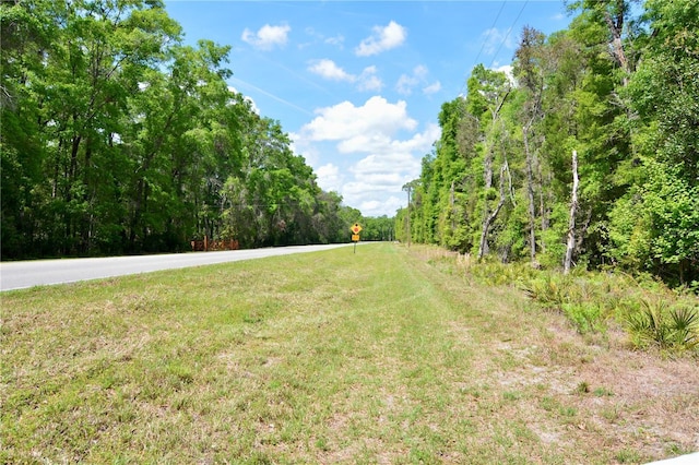 SW County Road 138, Fort White, FL 32038 - photo 28