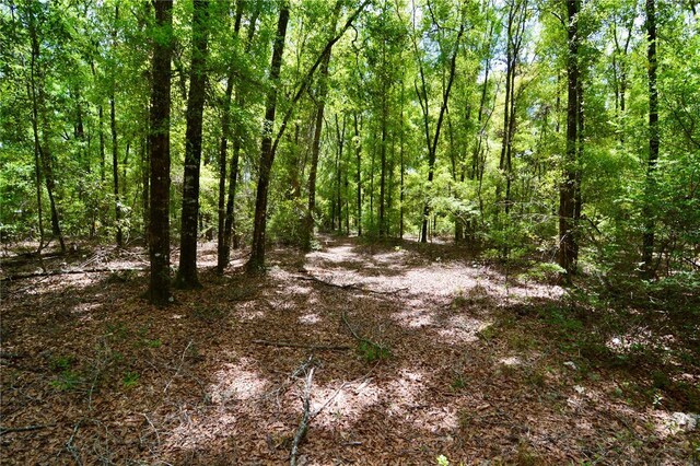 SW County Road 138, Fort White, FL 32038 - photo 30