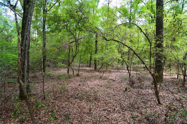 SW County Road 138, Fort White, FL 32038 - photo 31