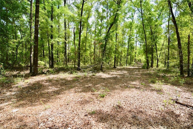 SW County Road 138, Fort White, FL 32038 - photo 32