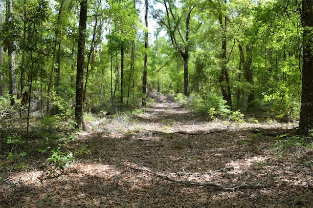 SW County Road 138, Fort White, FL 32038 - photo 34