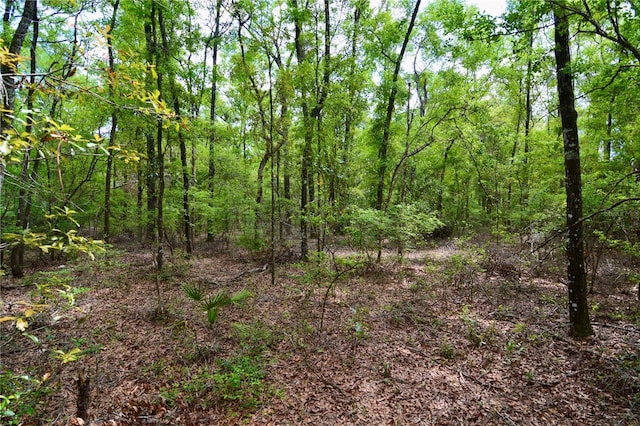 SW County Road 138, Fort White, FL 32038 - photo 35