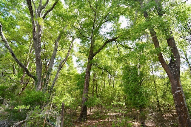 SW County Road 138, Fort White, FL 32038 - photo 36