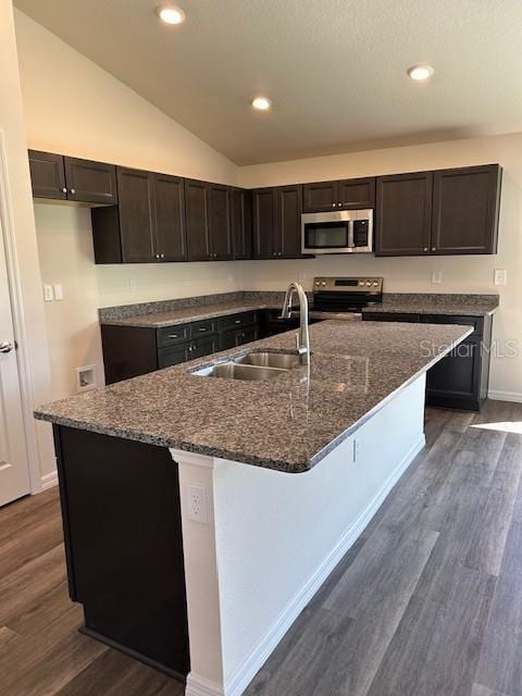 kitchen featuring dark wood-type flooring, a sink, lofted ceiling, stainless steel appliances, and a center island with sink