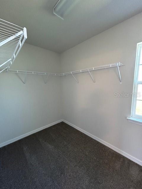 walk in closet featuring dark colored carpet