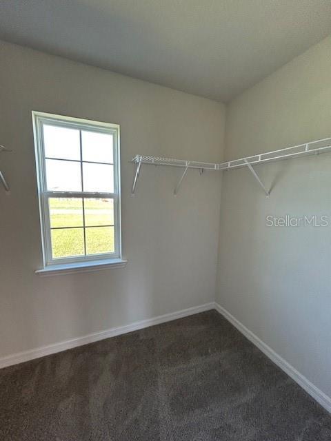 walk in closet featuring dark carpet
