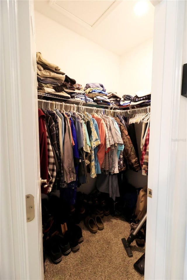 walk in closet with carpet flooring