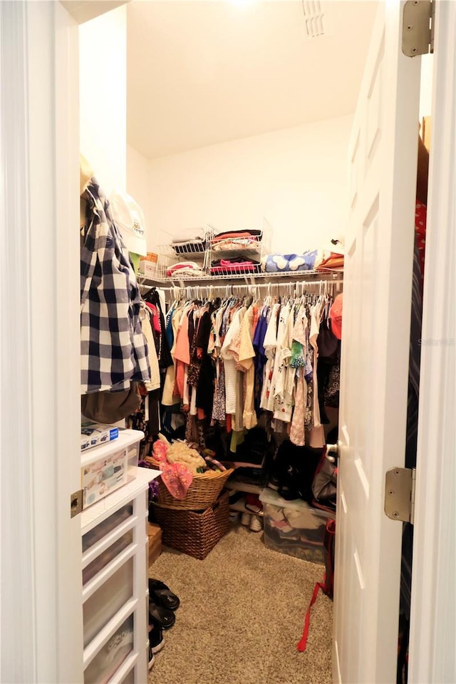 spacious closet with carpet flooring
