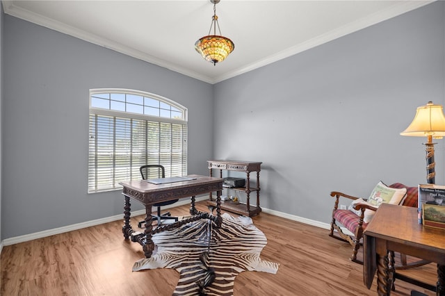 office space featuring wood finished floors, baseboards, and ornamental molding
