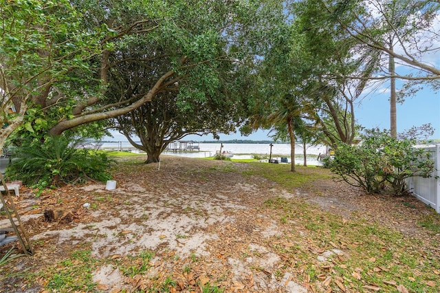 31 SE Chinica Dr, Summerfield, FL 34491 - view of yard featuring a water view