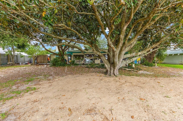 31 SE Chinica Dr, Summerfield, FL 34491 - view of yard