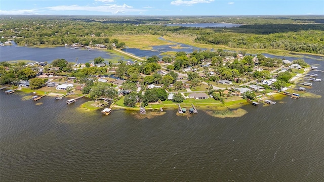 31 SE Chinica Dr, Summerfield, FL 34491 - aerial view of property's location with a nearby body of water and nearby suburban area