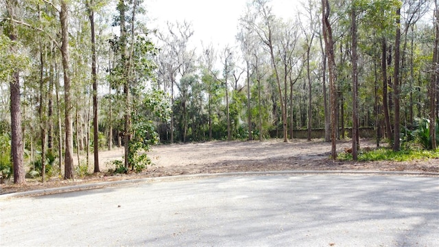 0000 SE 17th Ct, Ocala, FL 34471 - photo 28