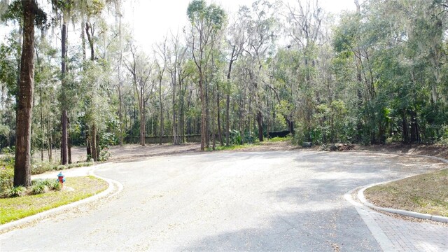 0000 SE 17th Ct, Ocala, FL 34471 - photo 29