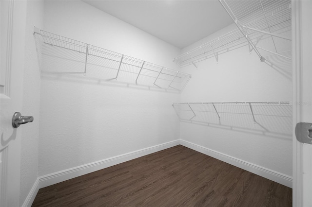 10435 SE 125th Ln, Belleview, FL 34420 - walk in closet with dark wood-style floors