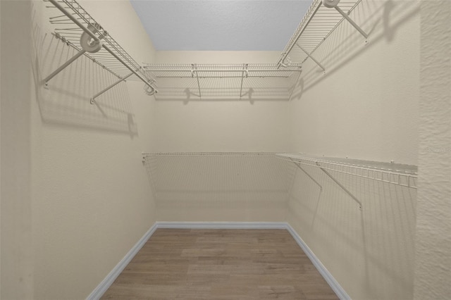walk in closet with wood finished floors