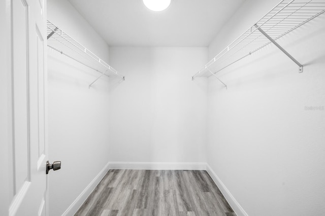 walk in closet featuring wood finished floors