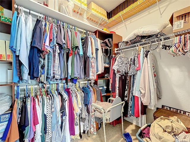 walk in closet with carpet