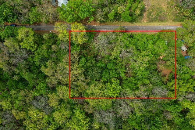 5043 S Palo Verde Pt, Homosassa, FL 34448 - photo 1