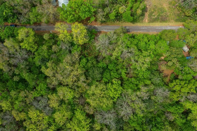 5043 S Palo Verde Pt, Homosassa, FL 34448 - photo 2