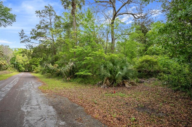 5043 S Palo Verde Pt, Homosassa, FL 34448 - photo 4