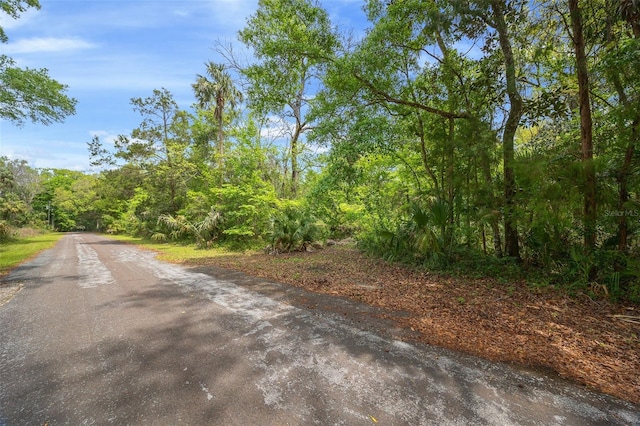 5043 S Palo Verde Pt, Homosassa, FL 34448 - photo 7