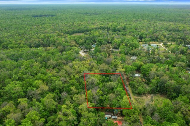 5043 S Palo Verde Pt, Homosassa, FL 34448 - photo 11