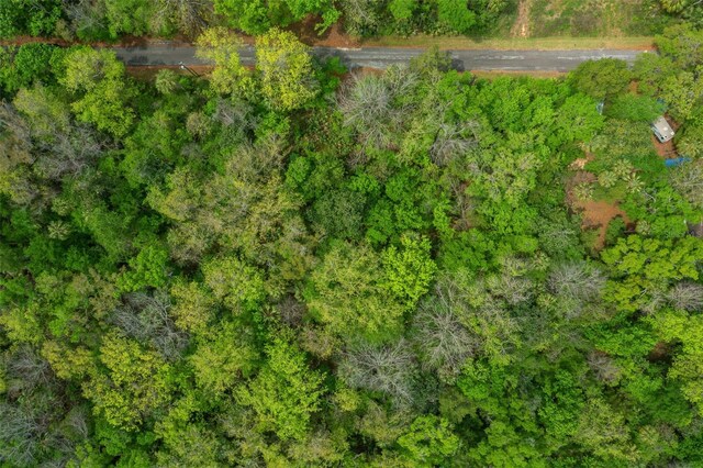 5043 S Palo Verde Pt, Homosassa, FL 34448 - photo 14