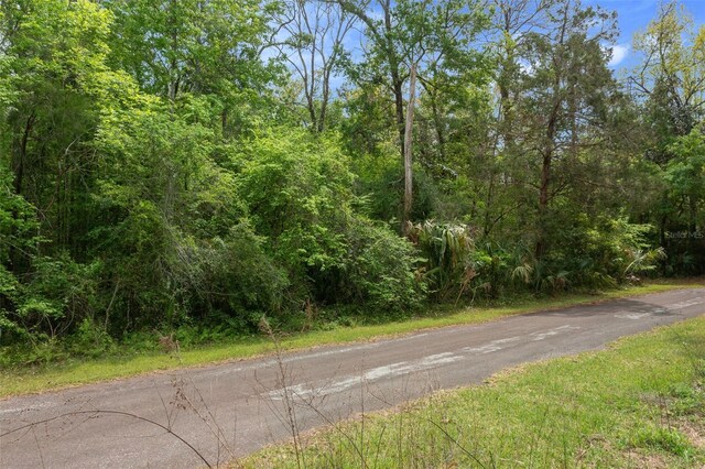 5043 S Palo Verde Pt, Homosassa, FL 34448 - photo 29