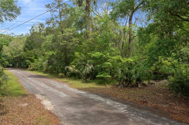 5043 S Palo Verde Pt, Homosassa, FL 34448 - photo 31