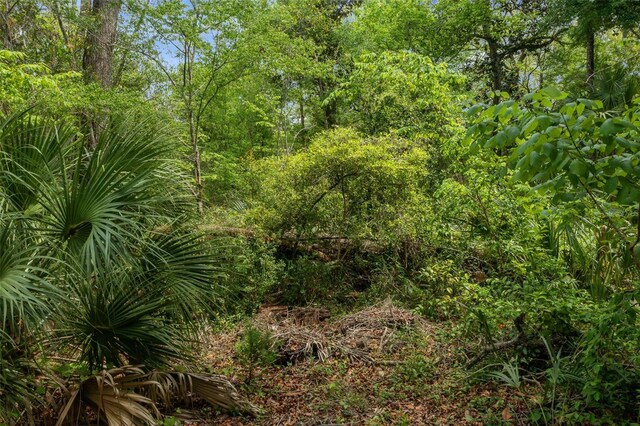 5043 S Palo Verde Pt, Homosassa, FL 34448 - photo 32