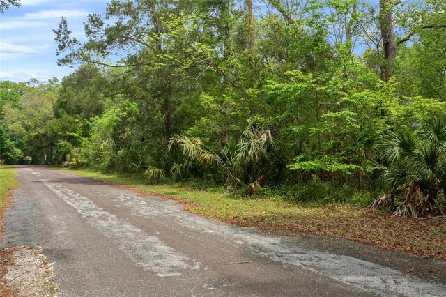 5043 S Palo Verde Pt, Homosassa, FL 34448 - photo 33
