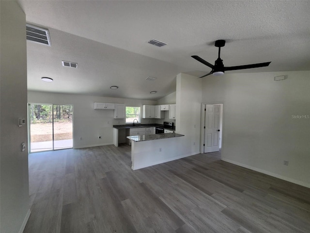 22764 SW Sea Cliff Ave, Dunnellon, FL 34431 - unfurnished living room featuring vaulted ceiling, ceiling fan, baseboards, wood finished floors, and plenty of natural light
