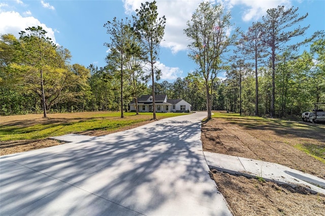 14115 NW 141st Ave, Williston, FL 32696 - view of home's community featuring a yard, driveway, and a forest view