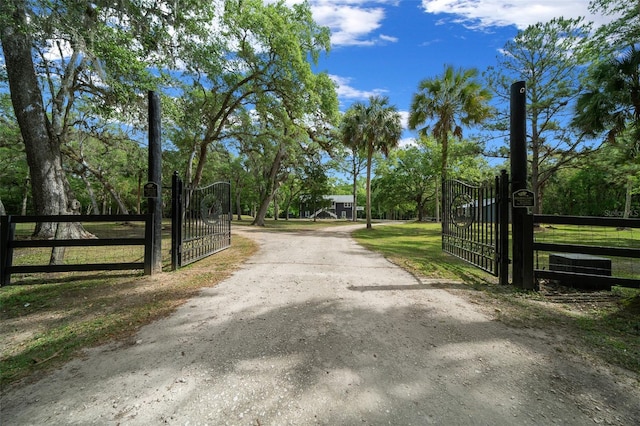 view of road with a gated entry, a gate, and dirt driveway