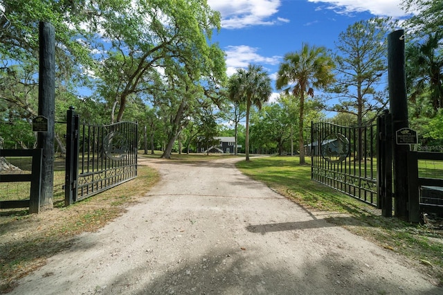 view of street featuring a gated entry, a gate, and driveway
