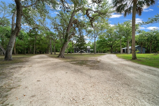 view of street with dirt driveway