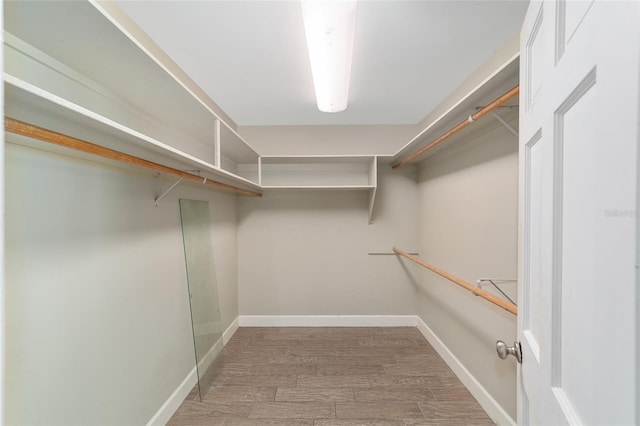 1251 SW 43rd Pl, Ocala, FL 34471 - spacious closet featuring wood finished floors