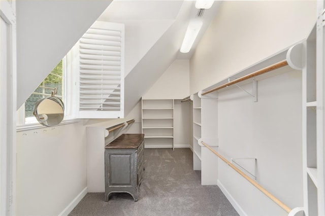1251 SW 43rd Pl, Ocala, FL 34471 - walk in closet featuring carpet