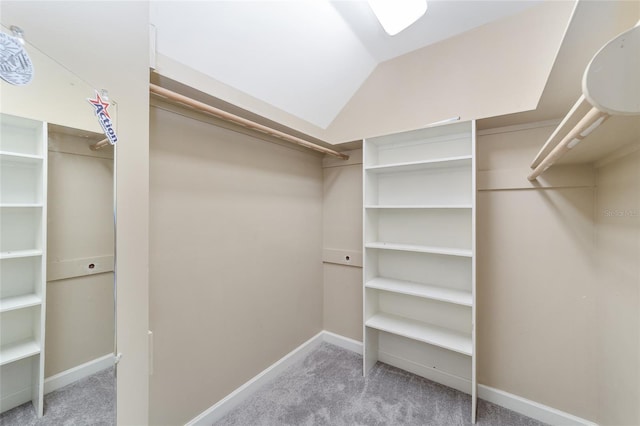 1251 SW 43rd Pl, Ocala, FL 34471 - spacious closet with carpet flooring and lofted ceiling