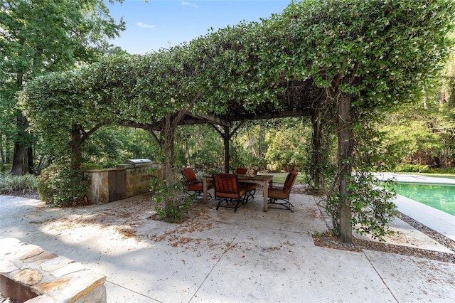 1251 SW 43rd Pl, Ocala, FL 34471 - view of patio featuring an outdoor pool and outdoor dining space