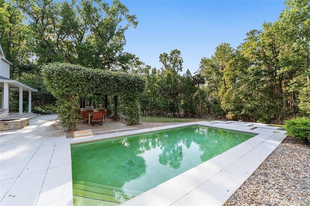 1251 SW 43rd Pl, Ocala, FL 34471 - swimming pool with a patio