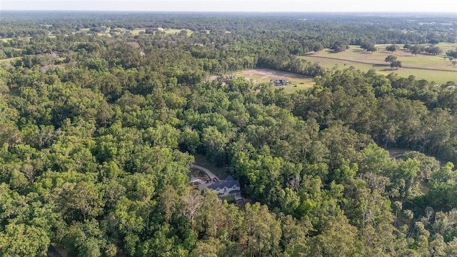 1251 SW 43rd Pl, Ocala, FL 34471 - view of property location with a forest