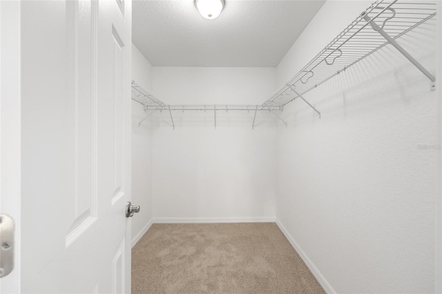 spacious closet with light carpet