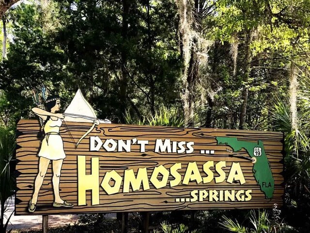 11631 W Clubview Dr, Homosassa, FL 34448 - photo 53