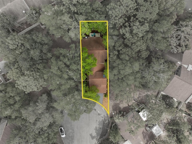 113 Weeping Elm Ln, Longwood, FL 32779 - photo 36